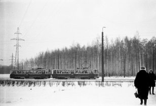 7 точек в Удельном парке