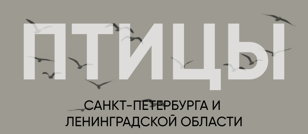 Птицы Санкт-Петербурга и Ленинградской области