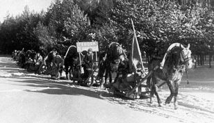 Дневник партизана
