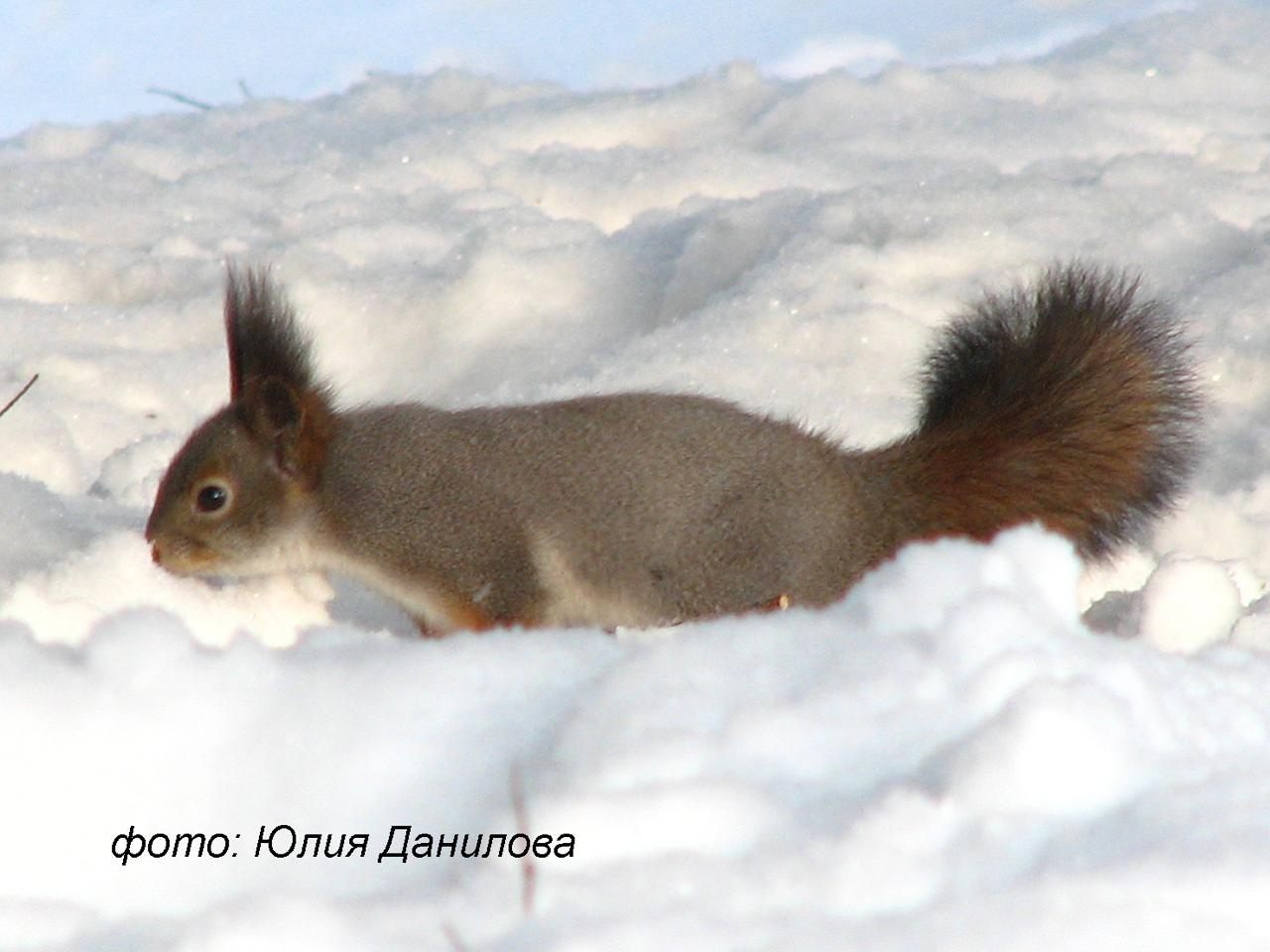 Зеленогорский Парк Отдыха. Бесплатная экскурсия