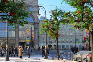 Первое мультимедийное шоу распускающихся роз в центре Петербурга