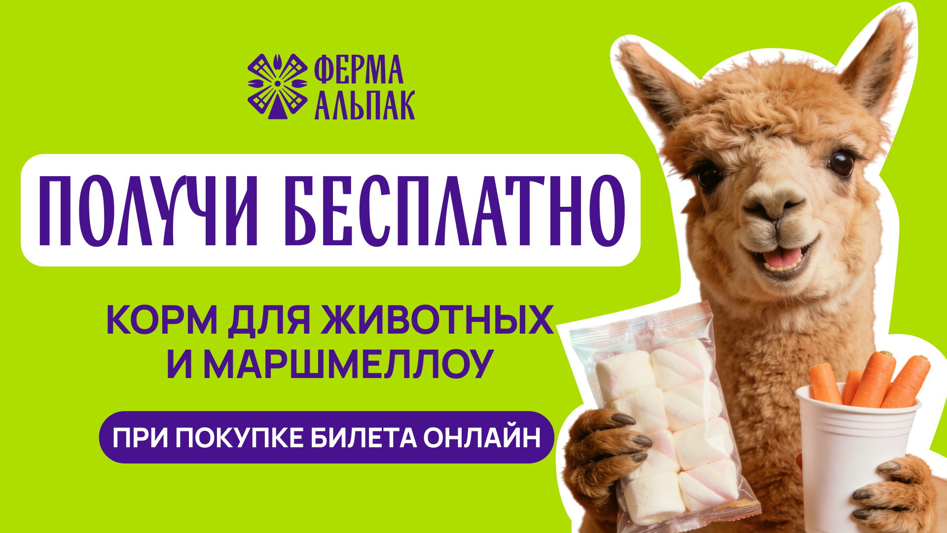 Ферма Альпак Ставрополь