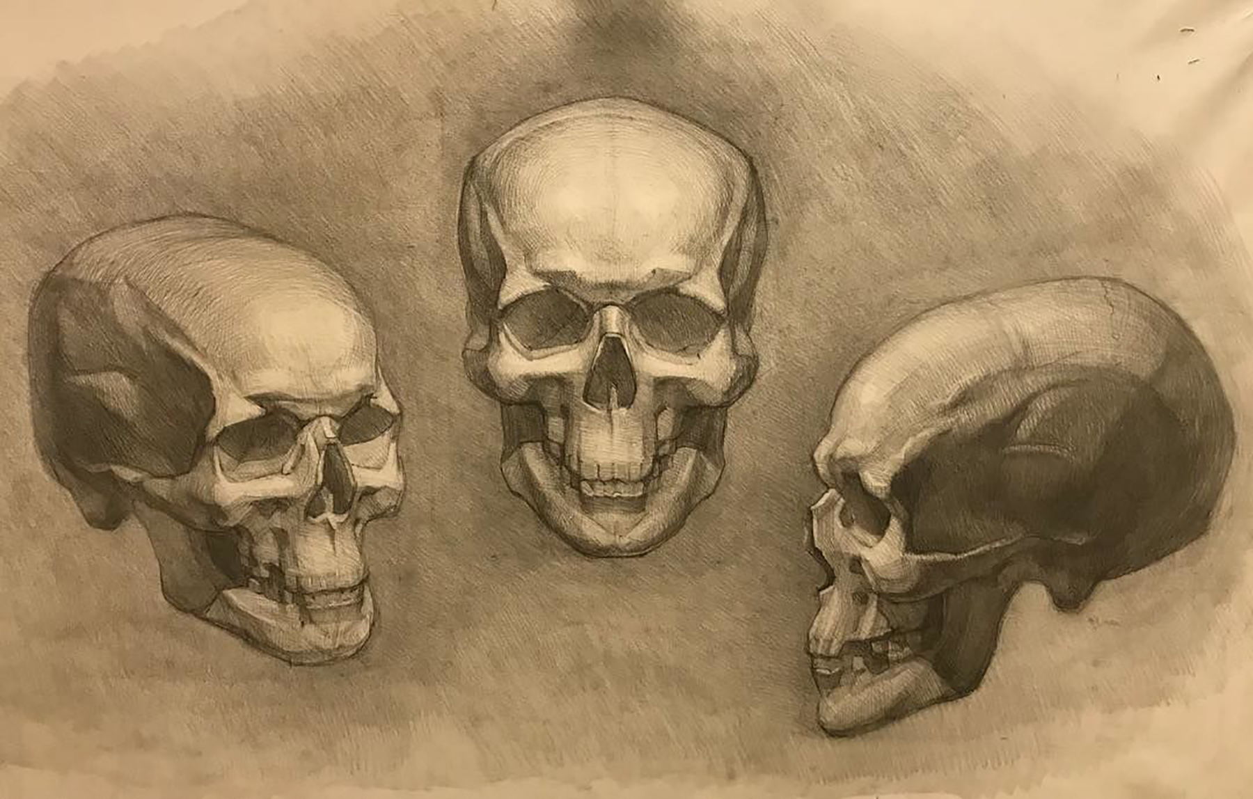 Мастер-классы по академическому рисунку