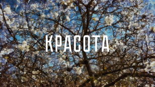 Дрейф с командой проекта "Тропы"