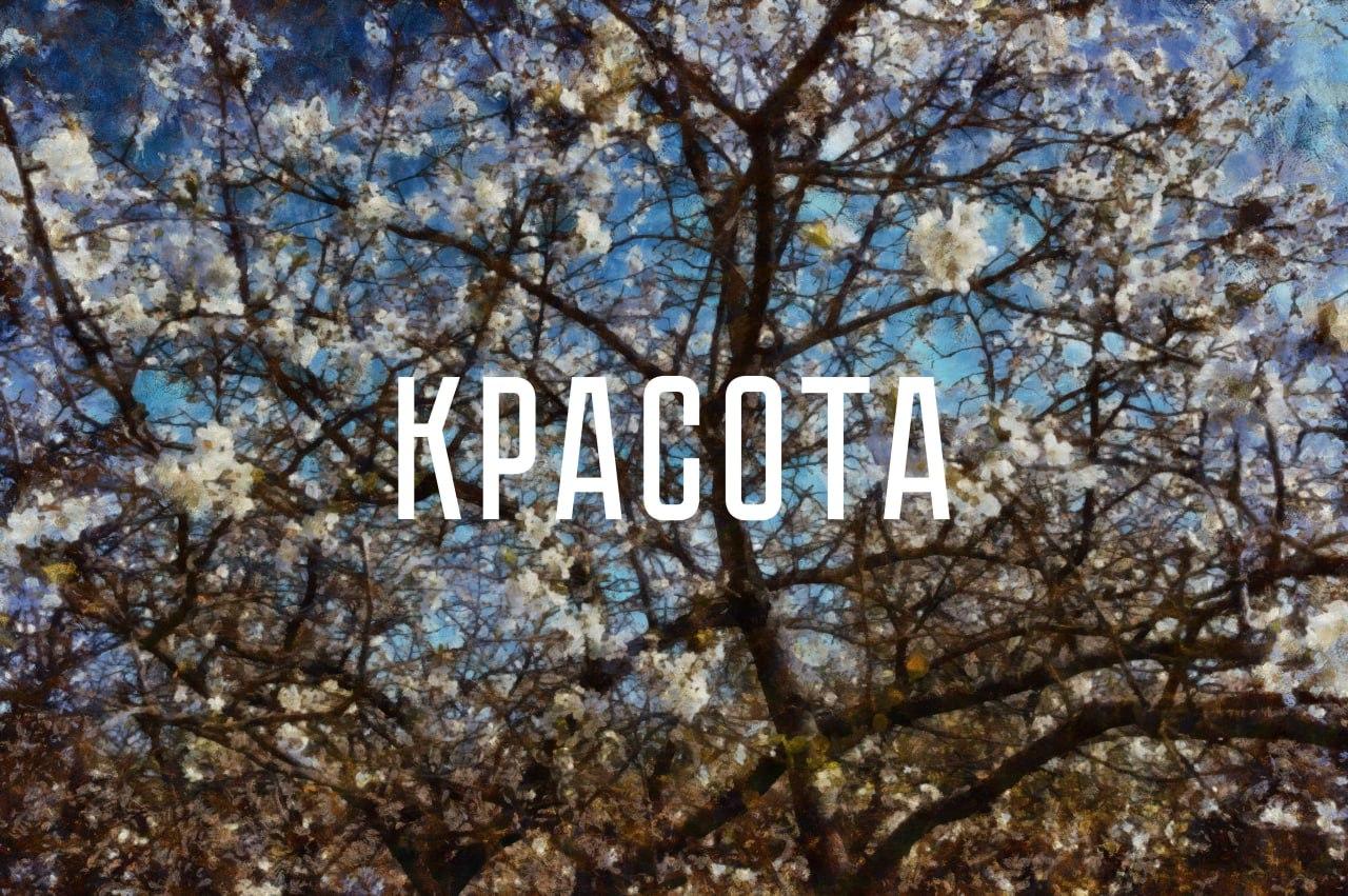 Дрейф с командой проекта "Тропы"