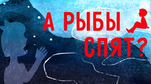 Спектакль «А рыбы спят?»