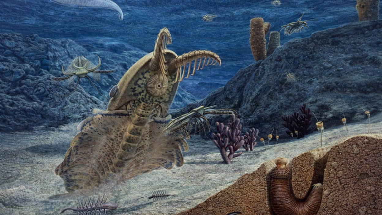 Раньше было лучше