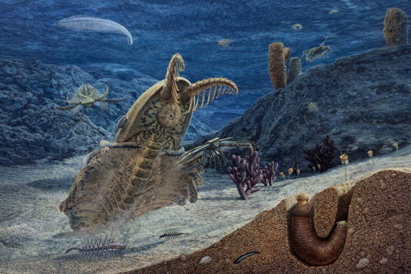 Раньше было лучше