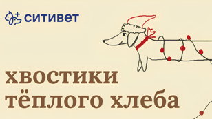Хвостатый Новый год: что нельзя есть питомцам с праздничного стола