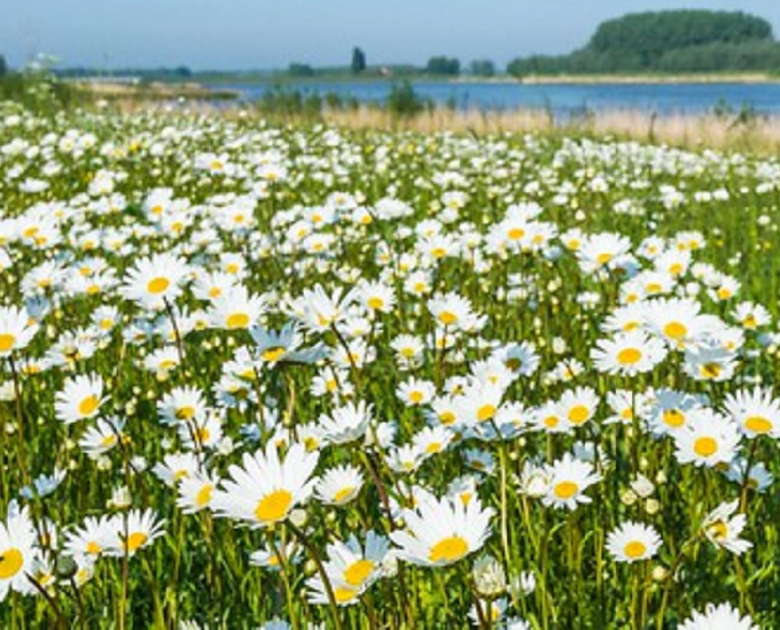 Дискуссия "Территория конфликта"