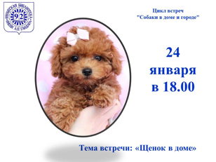 Встреча на тему «Щенок в доме»