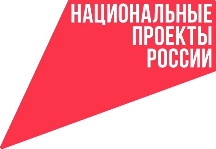 Национальные проекты России