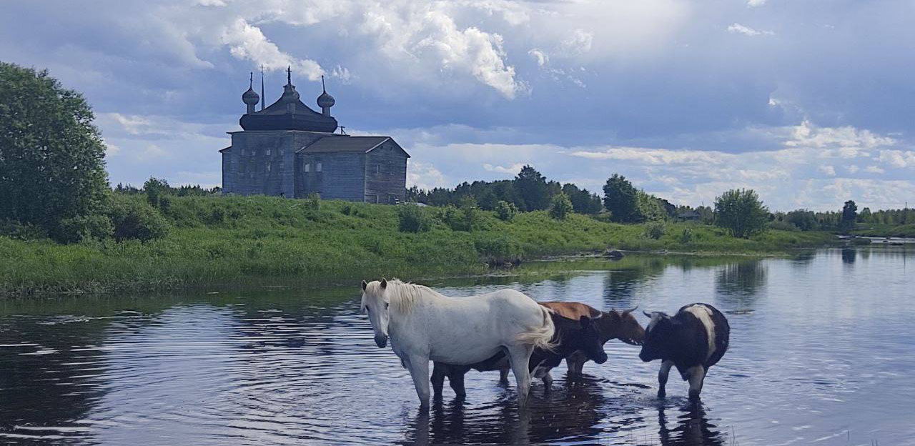 Лекция этнографа Егора Староверова «Поморы — история и современность. Морские этнографические экспедиции карбаса "Ковда"»