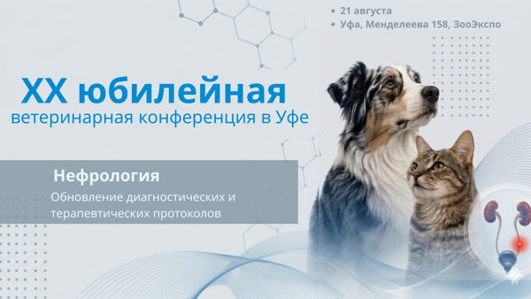 Ветеринарная конференция