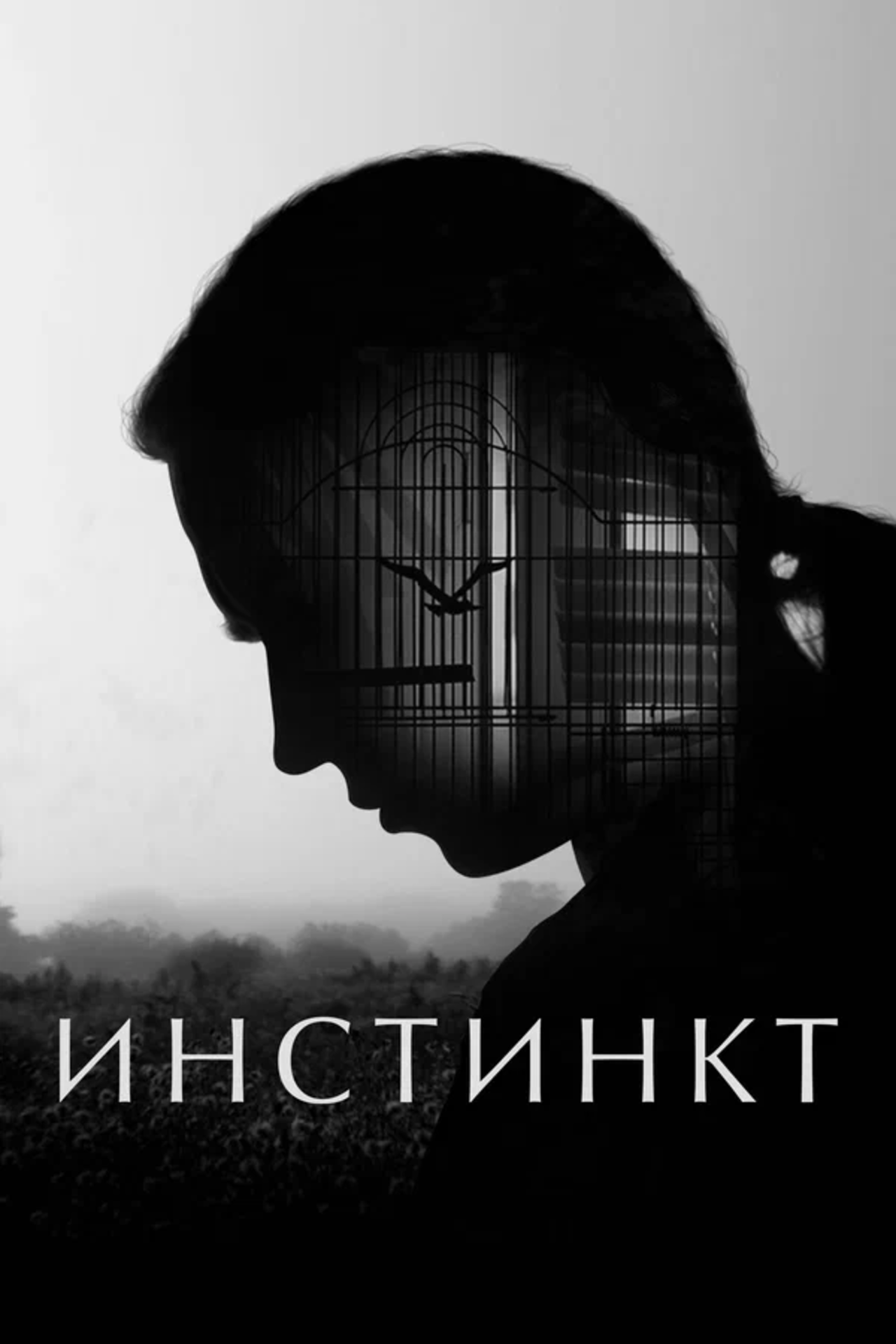 Инстинкт