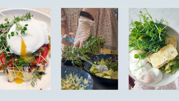Лаборатория вкуса: масла, микрозелень и рецепты