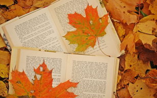 Книгообмен "Осенний книгопад"