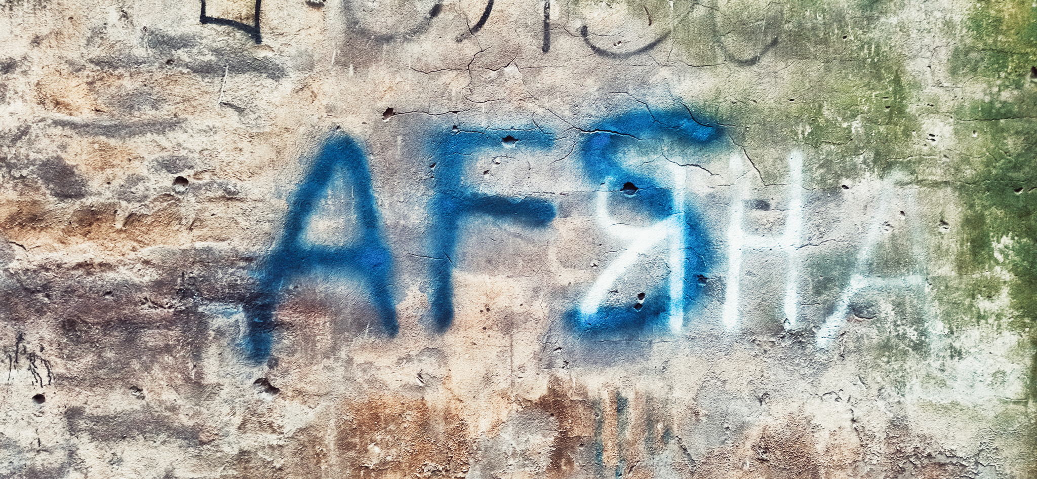 A.S.F. (Alternative Sound Factory) : ЭлектроХолм, Anri Kiria, BioSonar+, Чисто поле, Panzerwelt