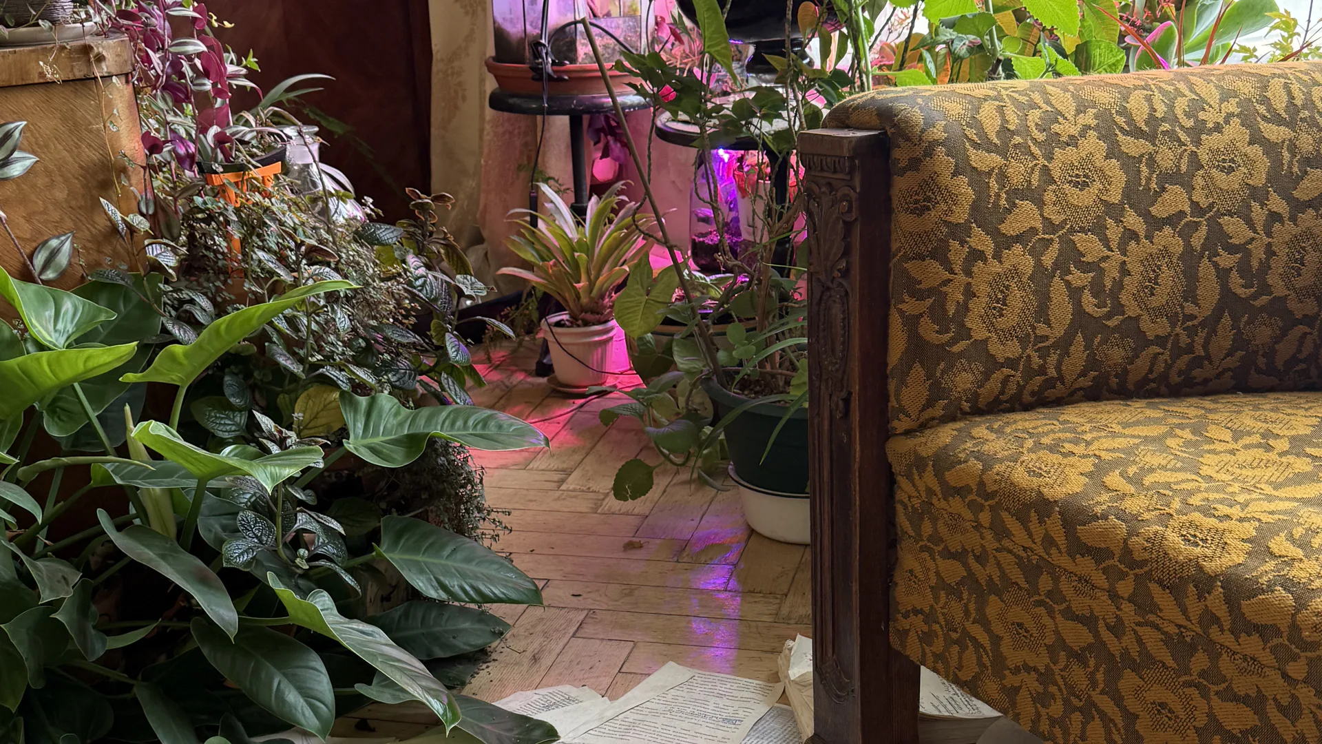 Дом Нирнзее. Литературные истории под крышей «тучереза»