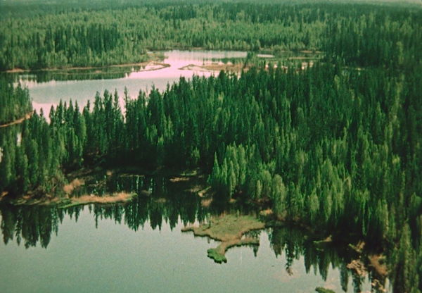 Фильм «Русский лес», 1964 (к/т «Иллюзион», Малый зал)