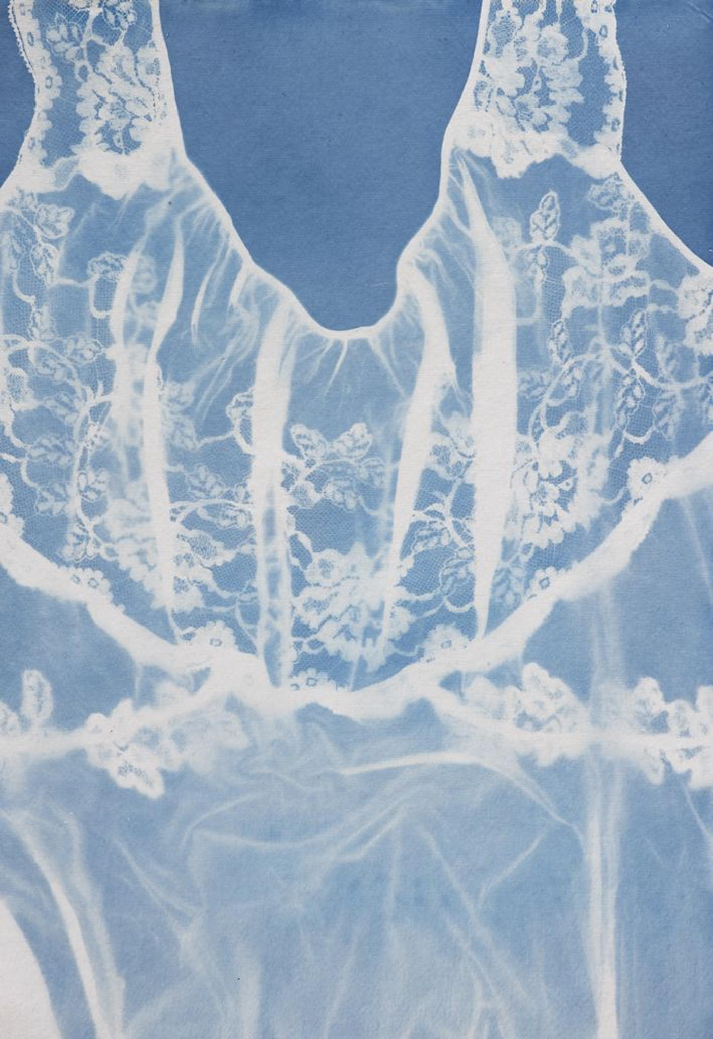 Мастер-класс по цианотипии: искусству фотосинтеза и ботанической красоты