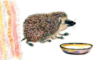 Колючие друзья (6-12 лет)