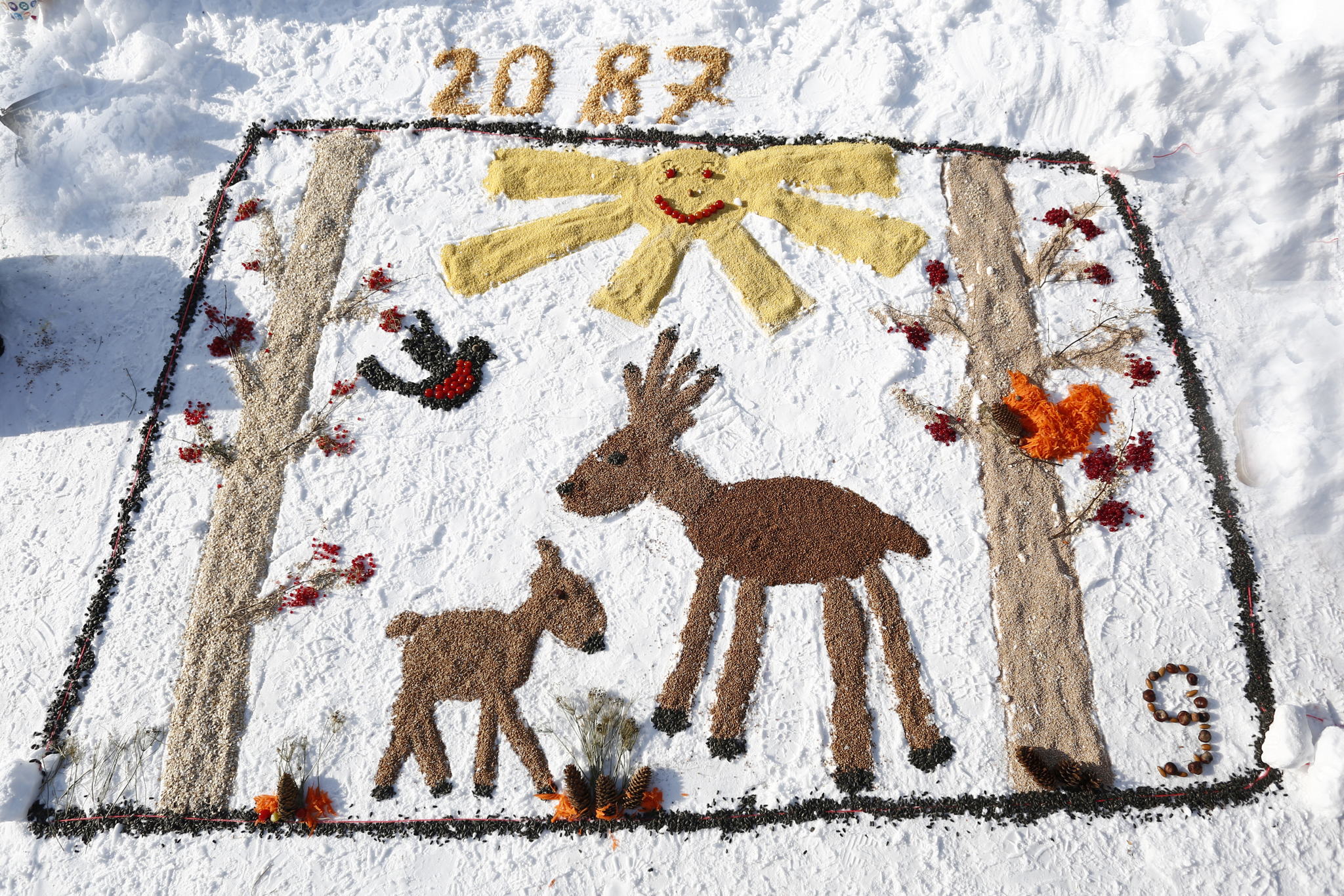 Фестиваль «Снежный холст» в экоцентре «Экошкола Кусково»