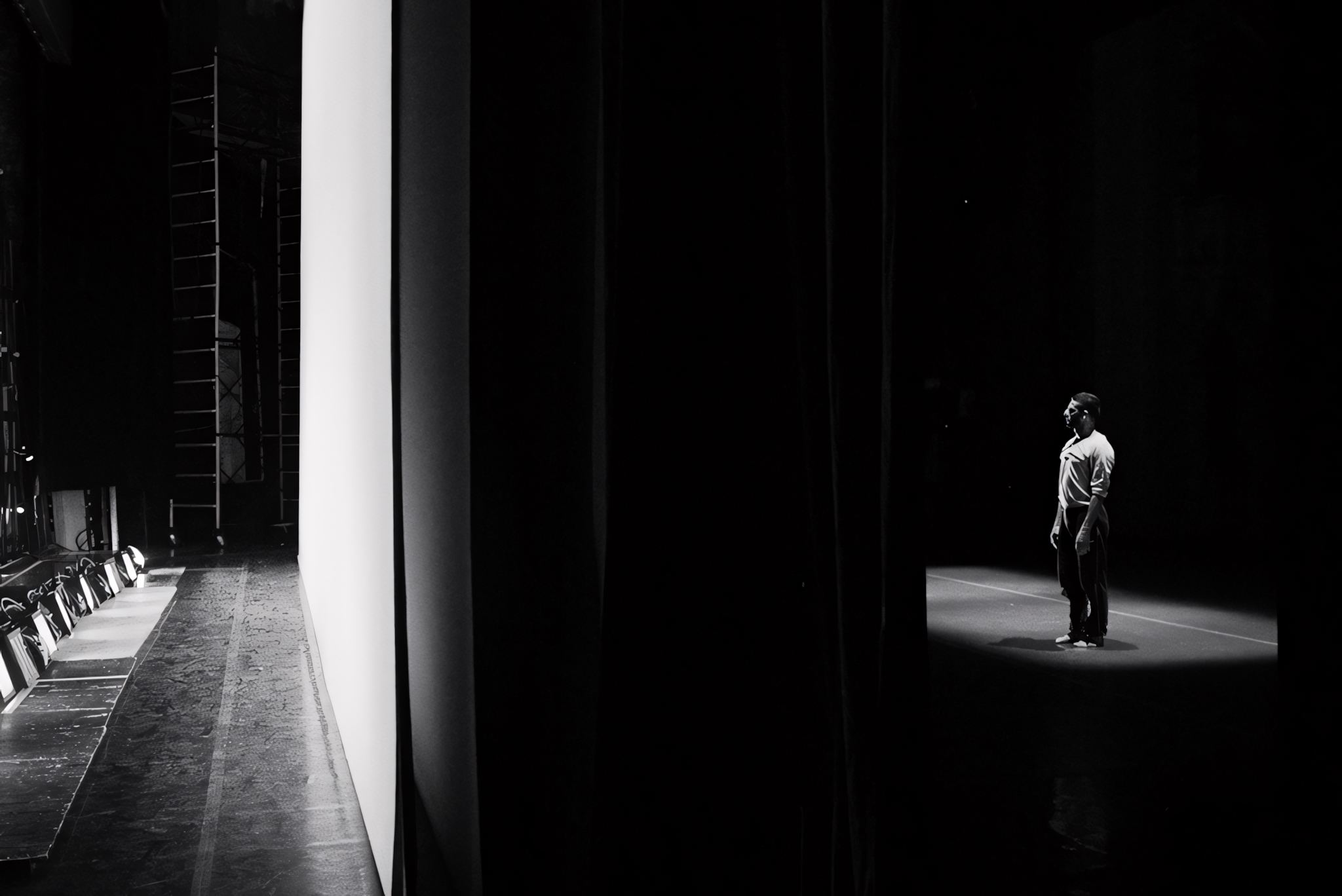 Кстати о птичках. Как «Лебединое озеро» Чайковского ищет и находит себе место в нашем времени. Лекция Антона Светличного