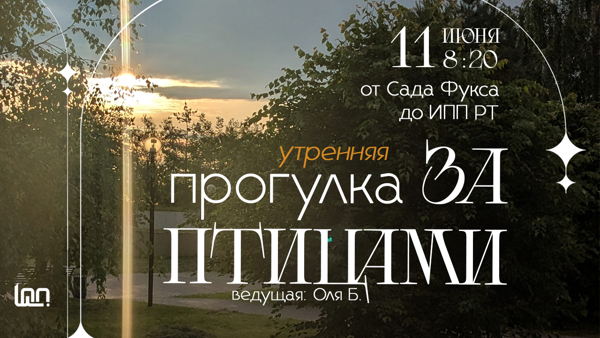 УТРО За Птицами. 26г