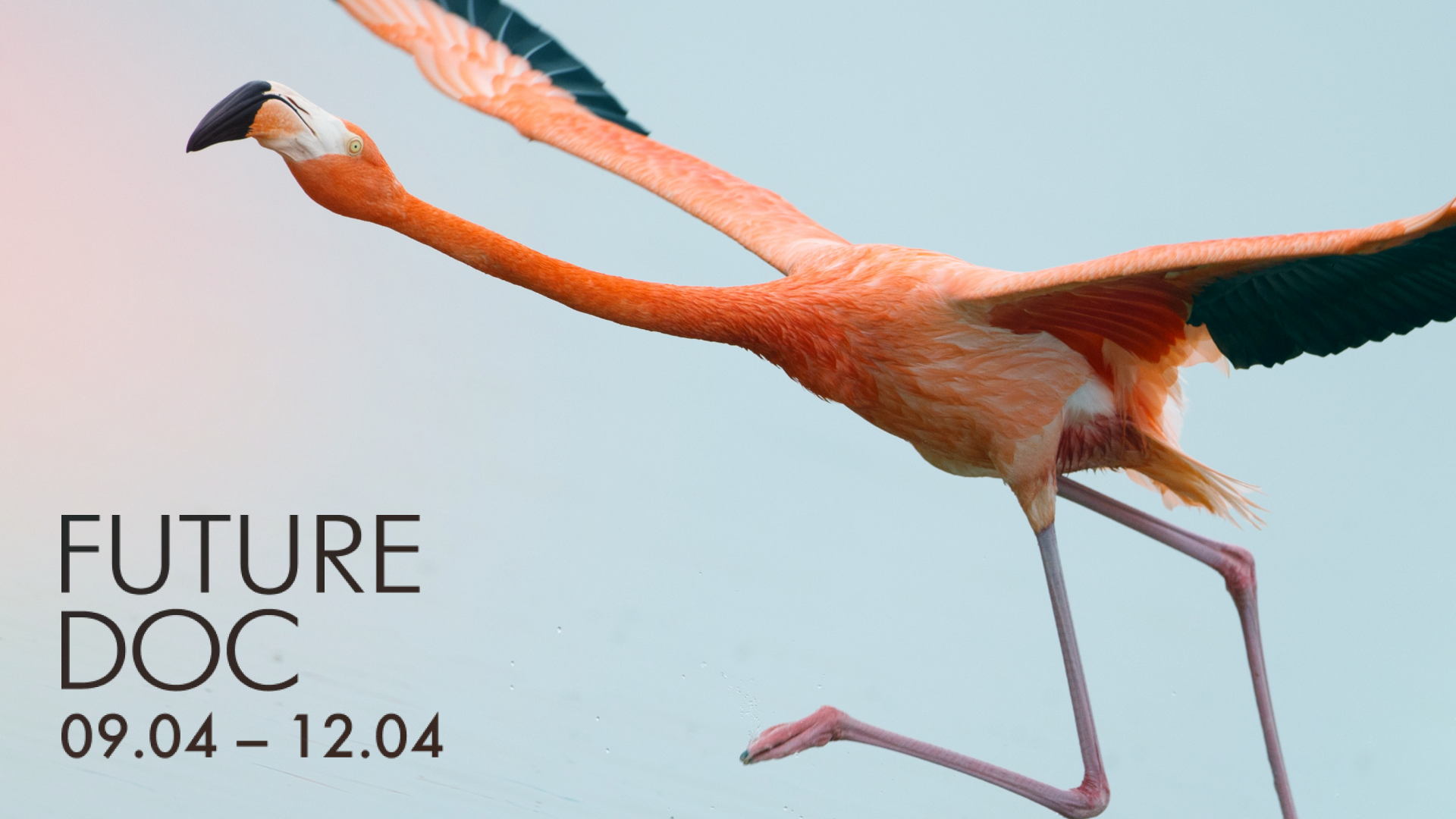 FUTURE.DOC | Квиз «Формула твоего завтра»