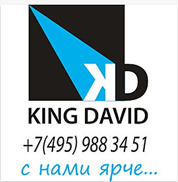 King David