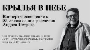 КРЫЛЬЯ В НЕБЕ
