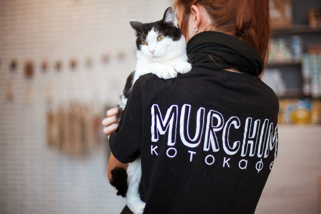 MOLCHIM в MURCHIM: тихий книжный клуб