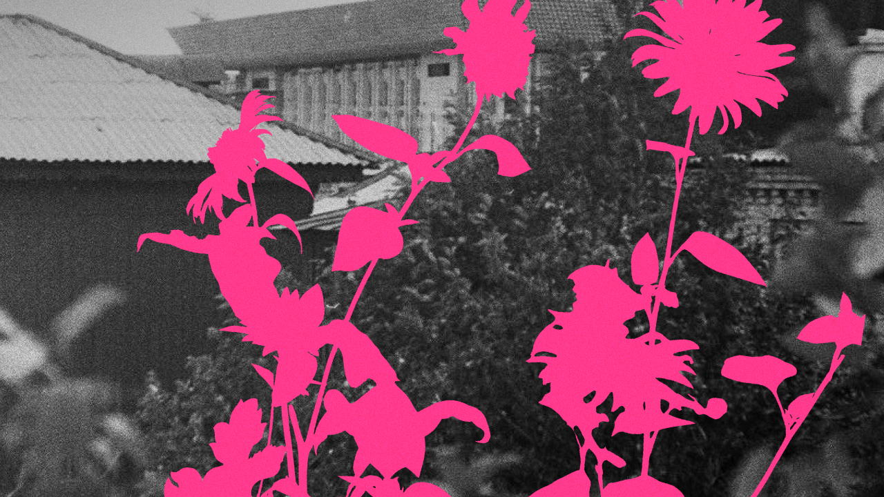 Лекция «Голубые ели: от садов и огородов к городской застройке»