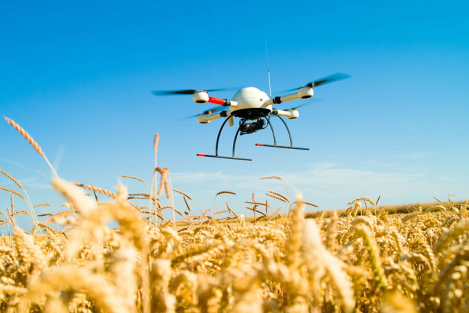 Беспилотные авиационные системы в АПК: анализ, эффективность