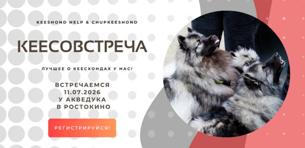 КЕЕСОВСТРЕЧА