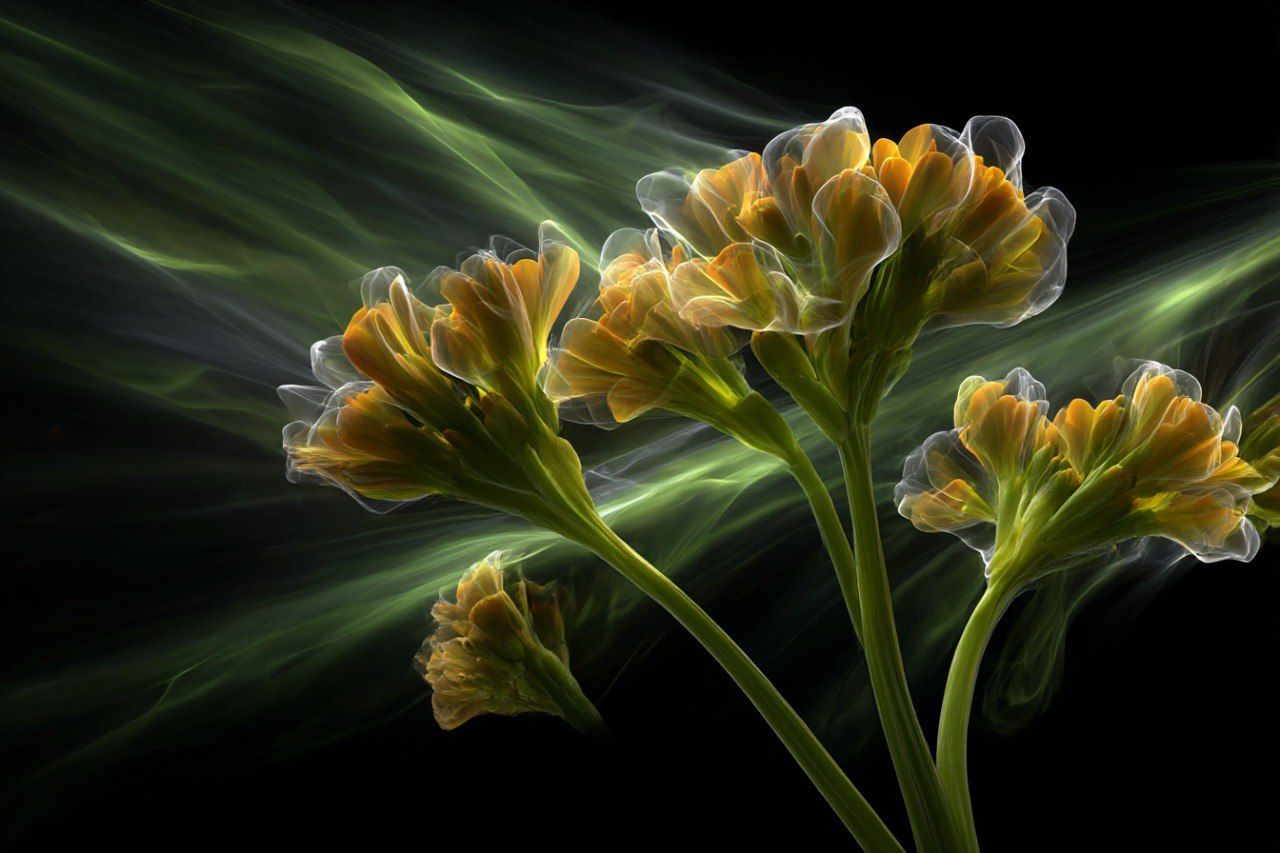 Как рождается визуальный язык бренда: создание кодов мудбордов для бизнеса