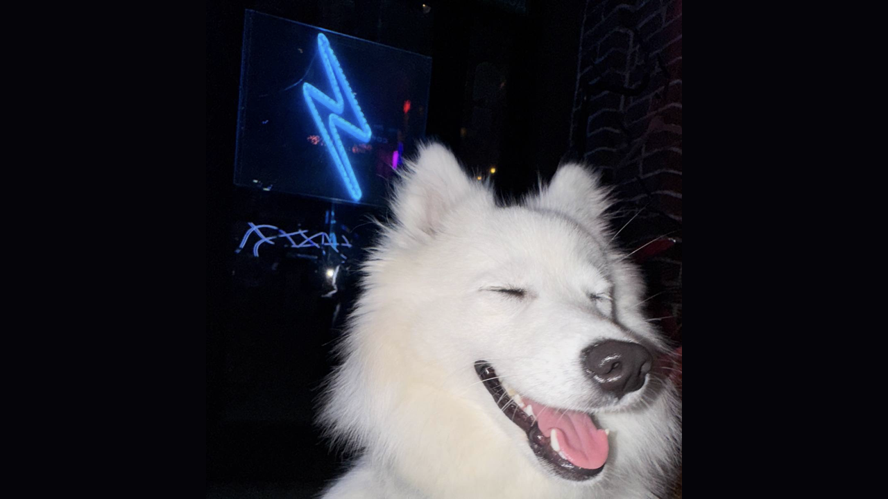 Киновечер «аватар»