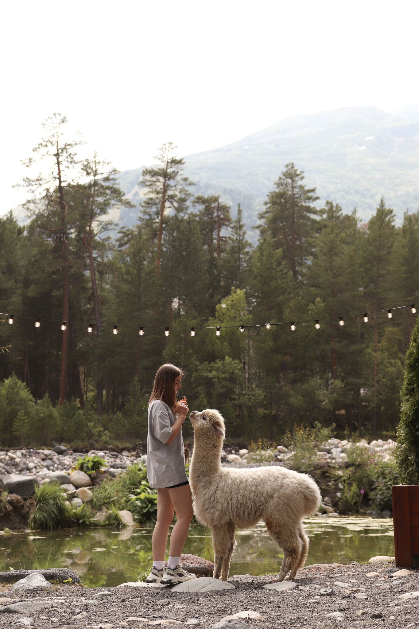 Парк Альпак Саратов