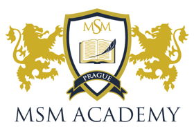 Международная Языковая Академия МСМ