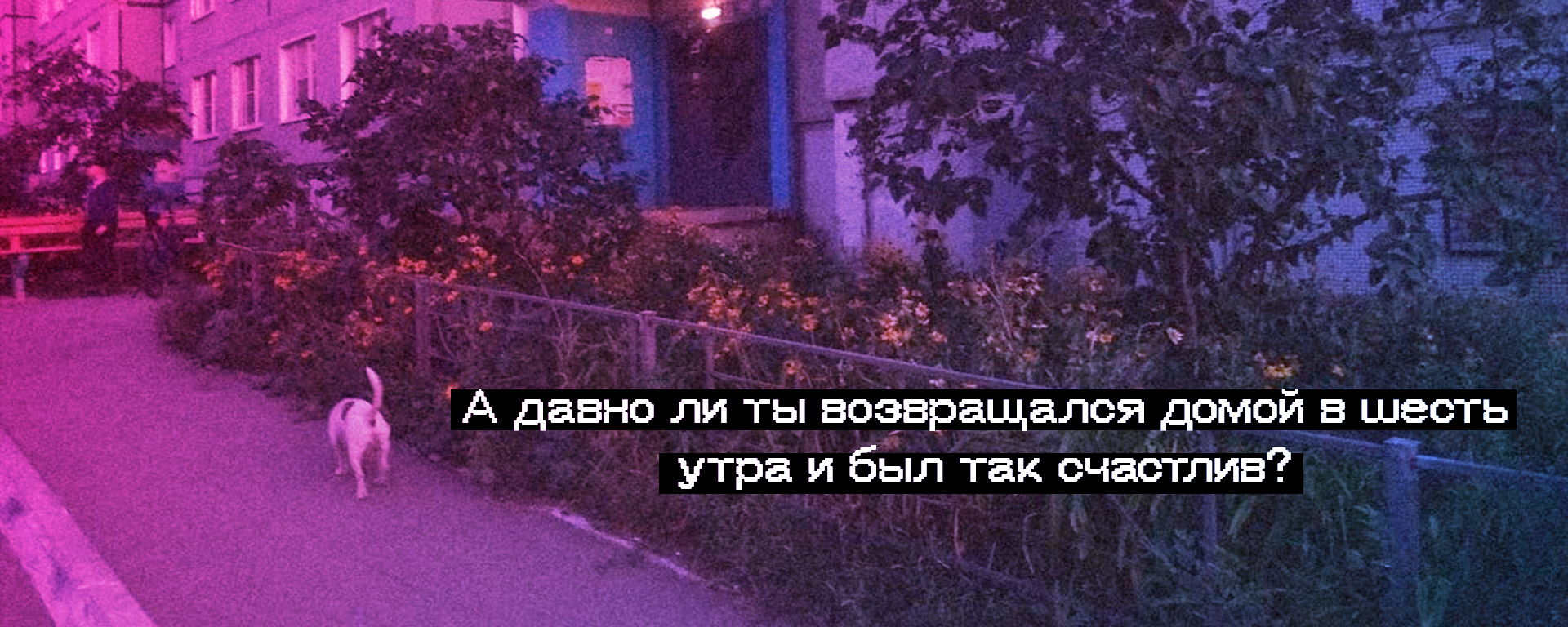 РАССВЕТ 2017
