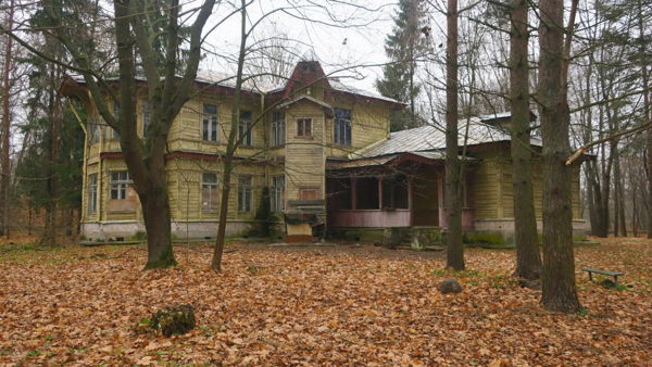 История петербургской дачи