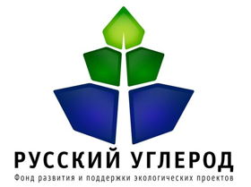 Фонд "Русский углерод" - организатор воркшопа