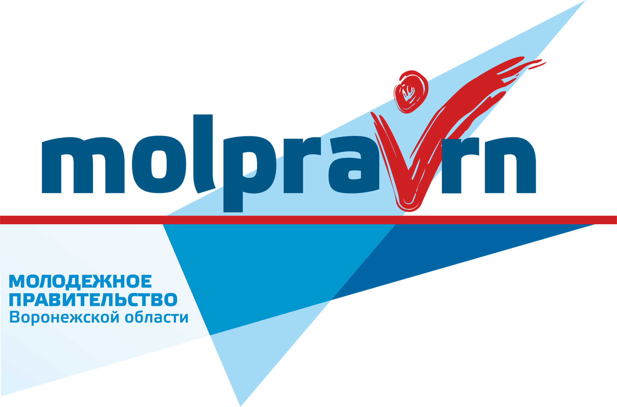 Молодёжное правительство Воронежской области