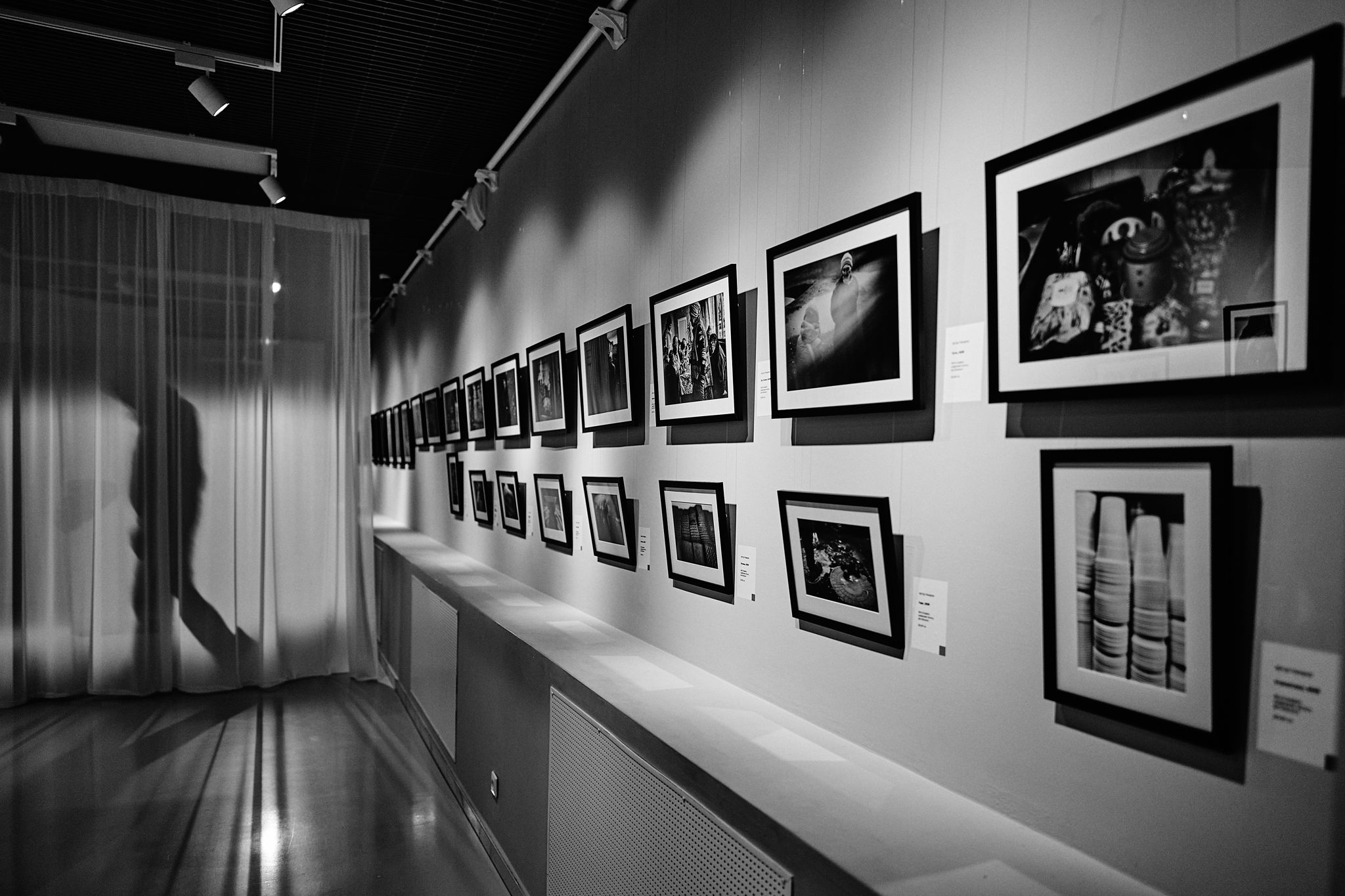 Открытое мероприятие в пространстве выставки «Приют Человека — Путеводная нить» от Gorizont Films