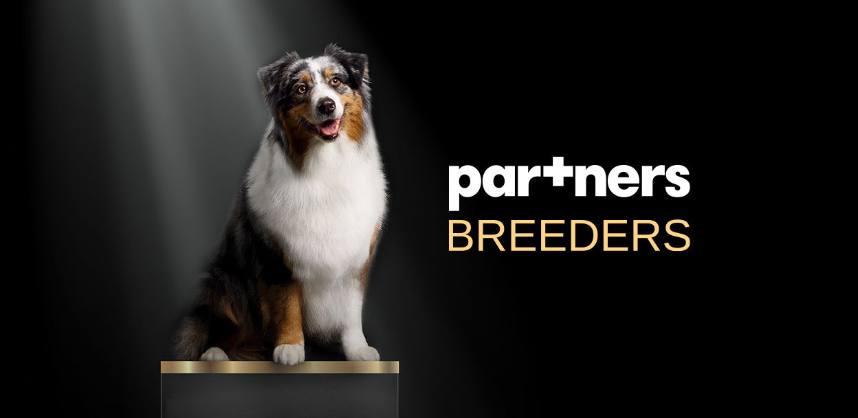 Семинар Pаrtners Breeders с РКФ в Казани