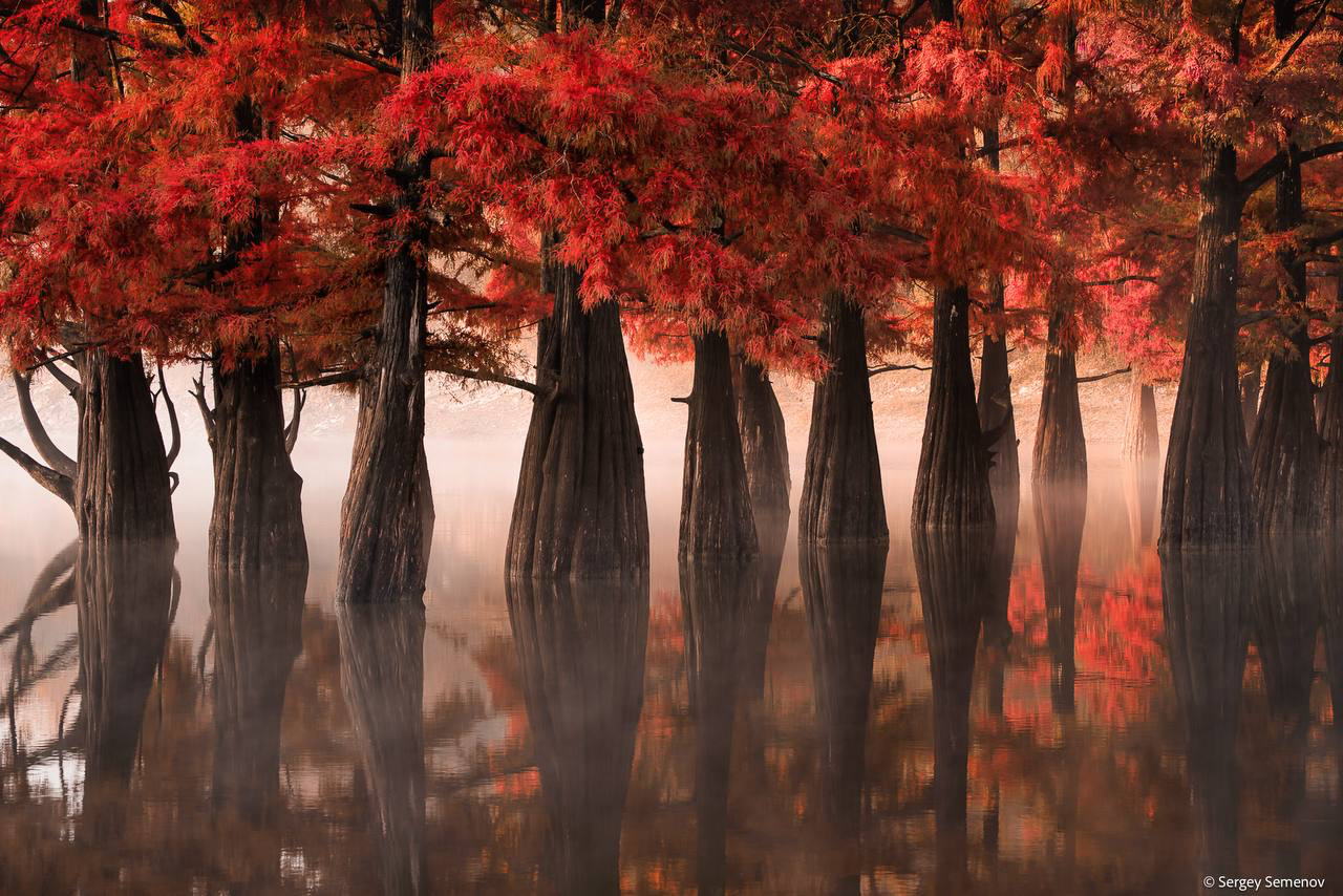 Мастер-классы и портфолио-ревю для фотографов от экспертов Русского географического общества