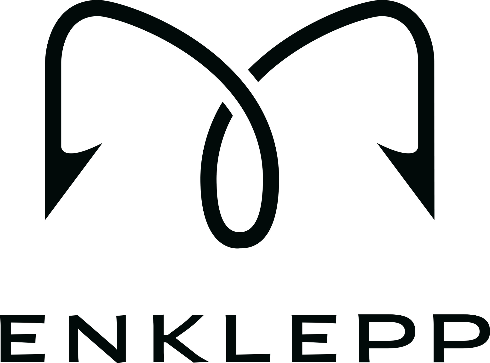 Enklepp