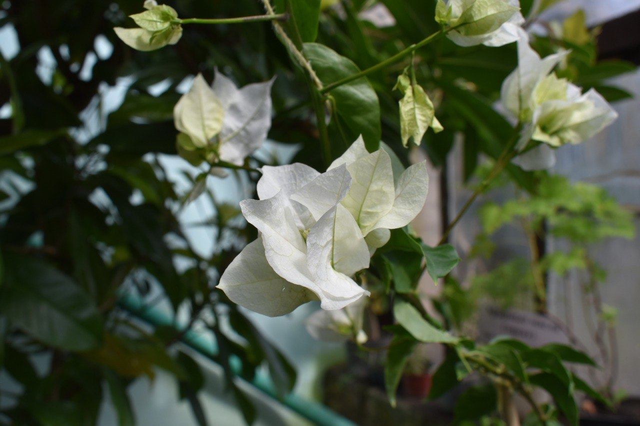 Экскурсия на Экостанцию Регионального центра "Орион"