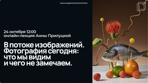 В потоке изображений. Фотография сегодня: что мы видим и чего не замечаем